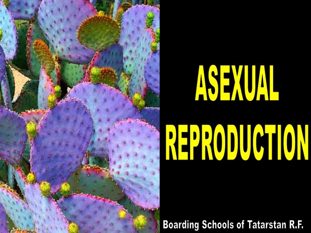 ASEXUAL REPRODUCTION Boarding Schools of Tatarstan R.F.